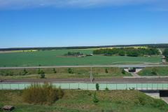 DSC_0022