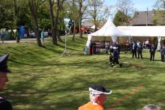 IMG_8800